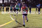 Junior mens 2025 Northern Cross Country Champs, Tatton Park, Knutsford, Cheshire. Photo: David T. Hewitson/Sports for All Pics
